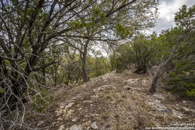 551 DEER CRK Spring Branch, TX 78070
