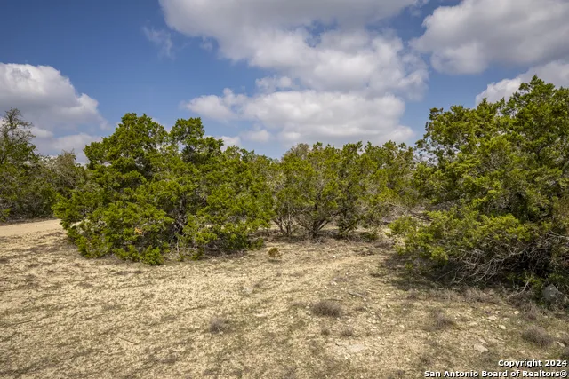 551 DEER CRK Spring Branch, TX 78070