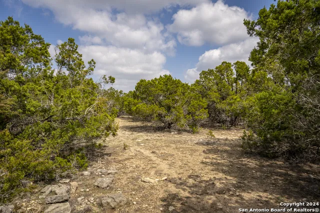 551 DEER CRK Spring Branch, TX 78070