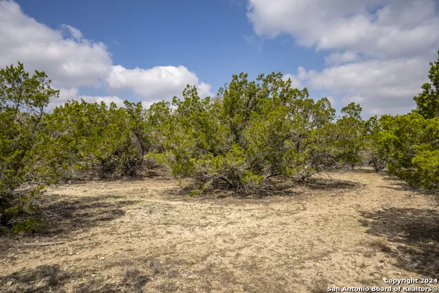 551 DEER CRK Spring Branch, TX 78070