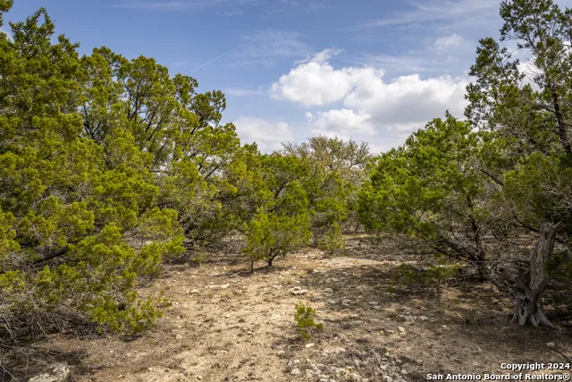 551 DEER CRK Spring Branch, TX 78070