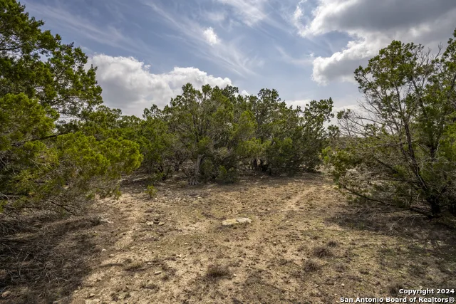 551 DEER CRK Spring Branch, TX 78070