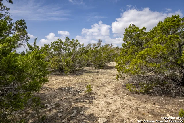 551 DEER CRK Spring Branch, TX 78070