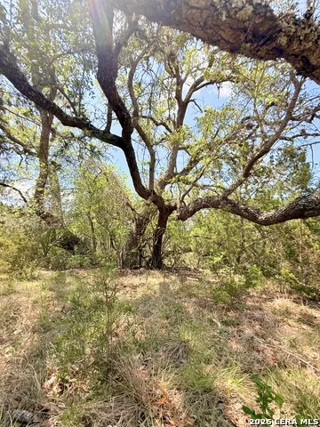 174 Waterman Ln Pipe Creek, TX 78063