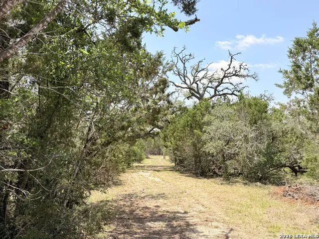 174 Waterman Ln Pipe Creek, TX 78063