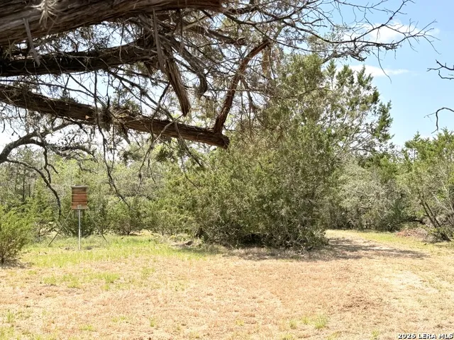 174 Waterman Ln Pipe Creek, TX 78063