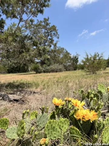174 Waterman Ln Pipe Creek, TX 78063