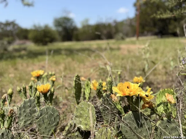 174 Waterman Ln Pipe Creek, TX 78063