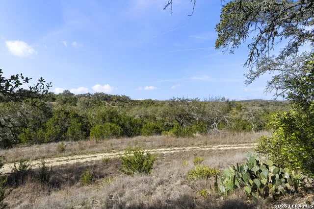 6093 Fm 311 Spring Branch, TX 78070