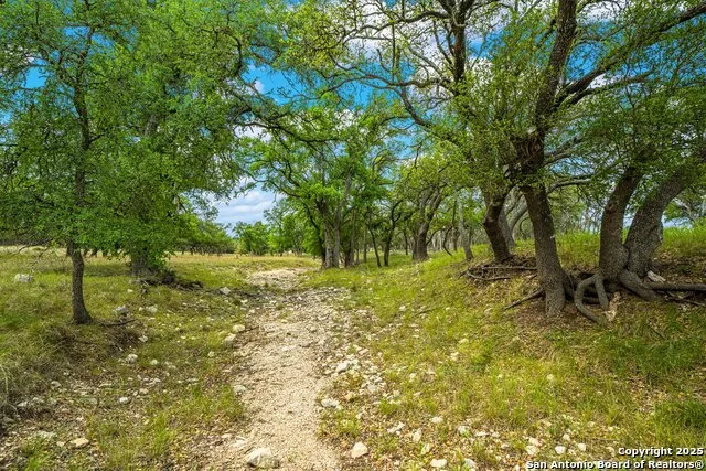 1379 Baker-Rogers Road Harper, TX 78631