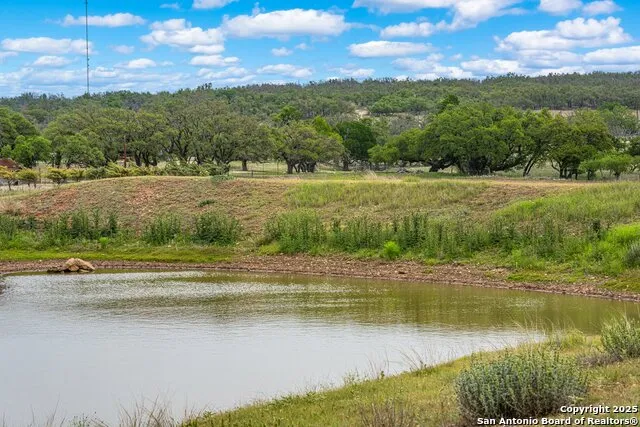 1379 Baker-Rogers Road Harper, TX 78631