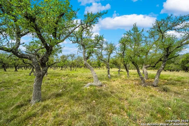 1379 Baker-Rogers Road Harper, TX 78631