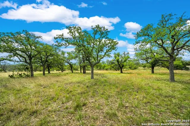 1379 Baker-Rogers Road Harper, TX 78631