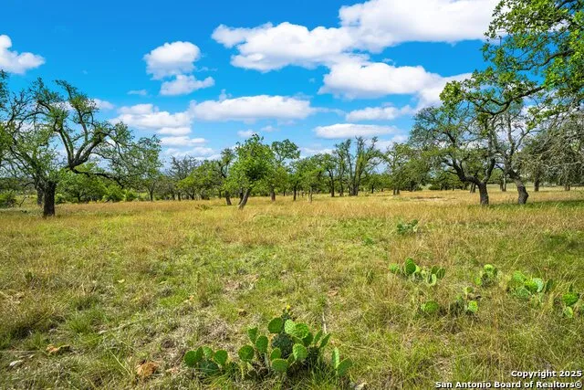 1379 Baker-Rogers Road Harper, TX 78631