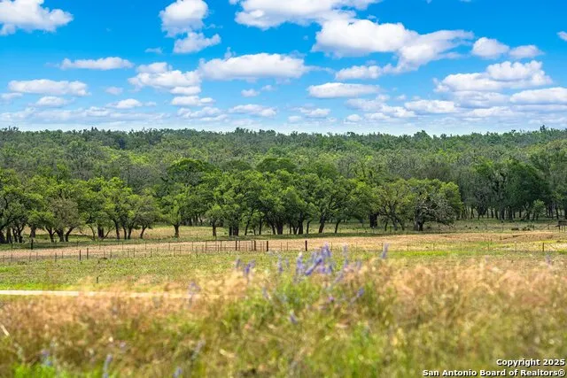 1379 Baker-Rogers Road Harper, TX 78631