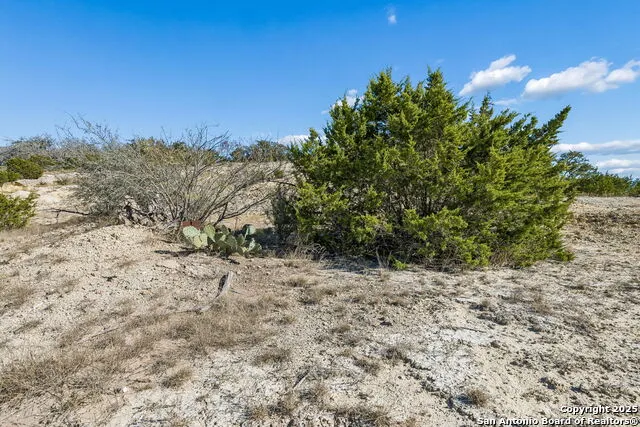 944 Metzger Fredericksburg, TX 78624