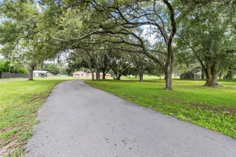40955 COUNTY ROAD 54