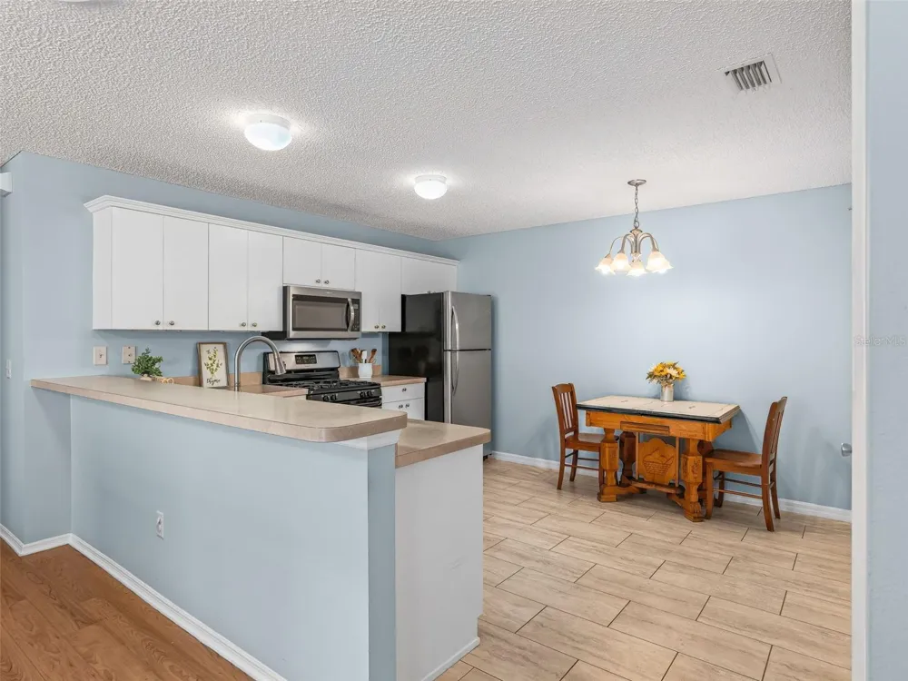 973 YORK TERRACE The Villages, FL 32162