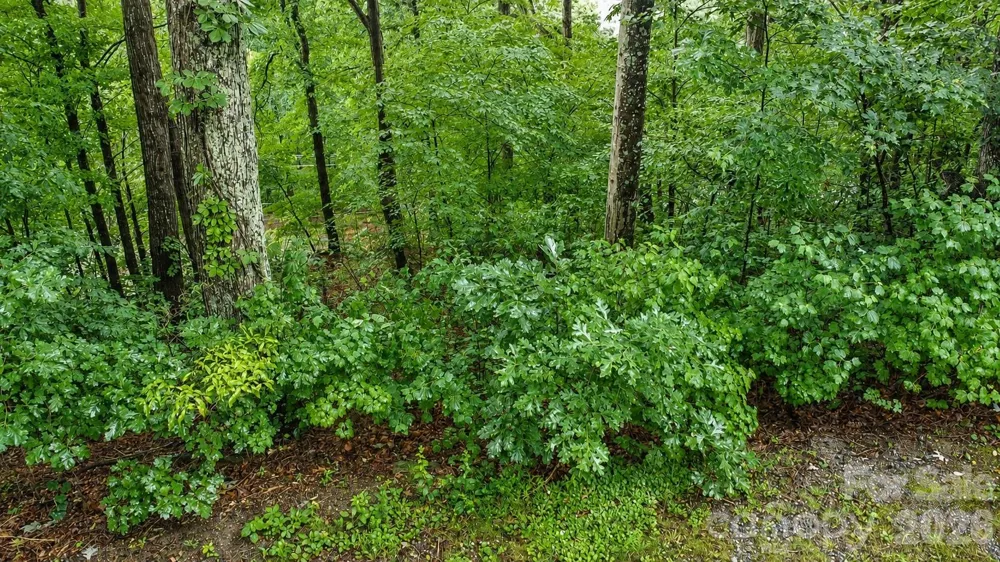 #46 Hemlock Trail Columbus, NC 28722