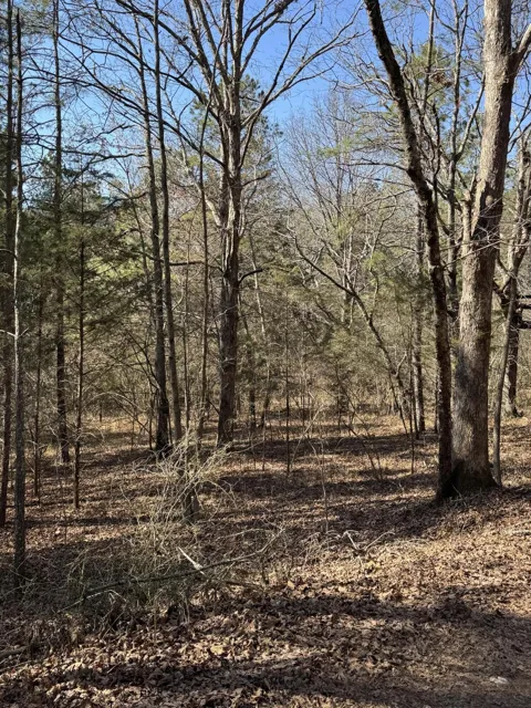 2311 John Wesley Trail