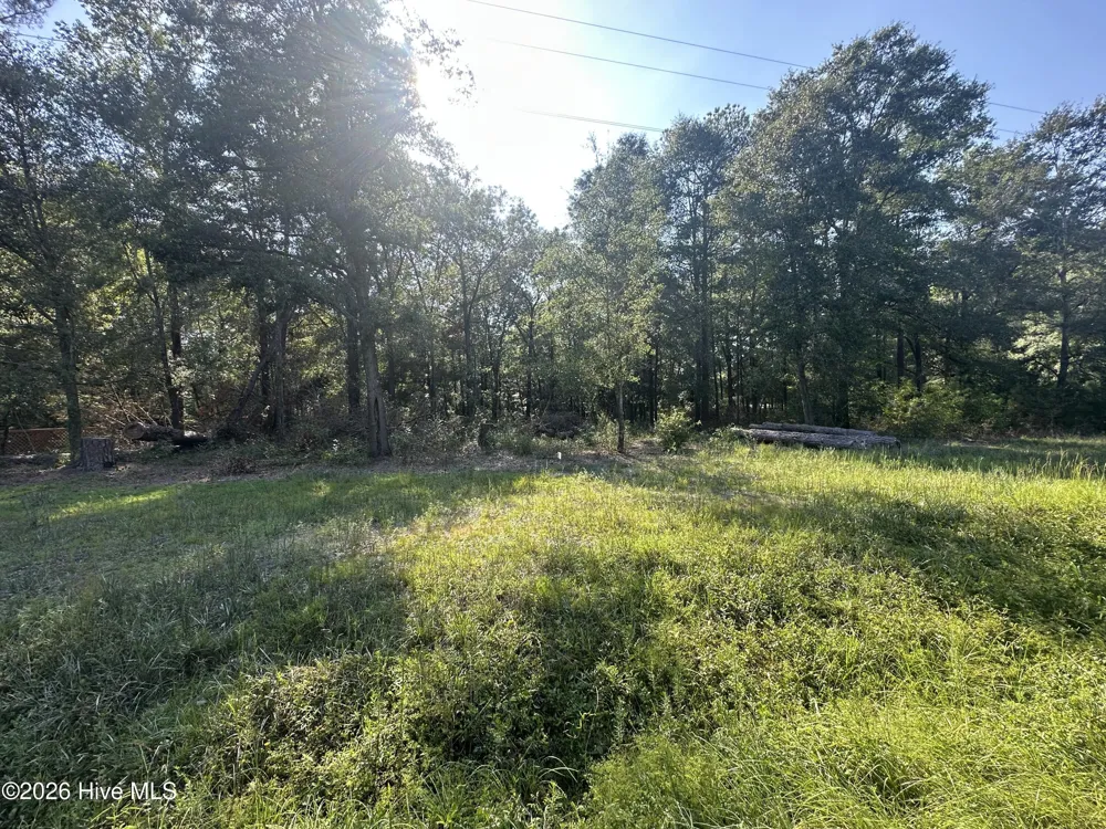 2 Ivanhoe Road Ivanhoe, NC 28447