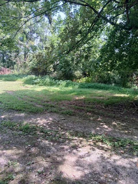 8729 Hester Beasley Rd
