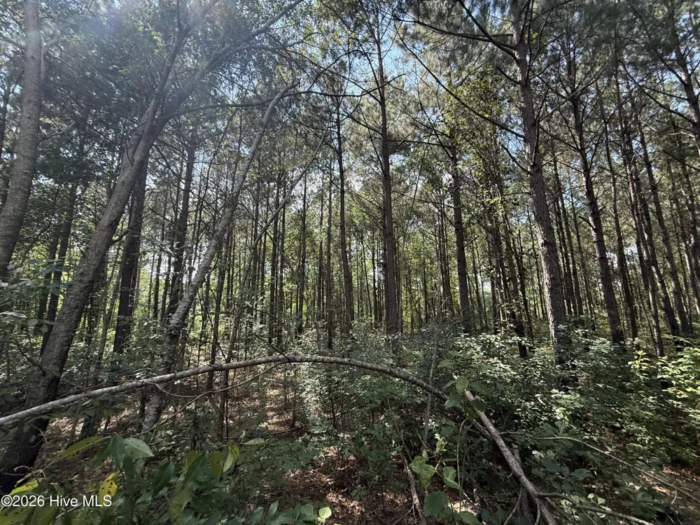 2740 Nc 71 Highway Maxton, NC 28364