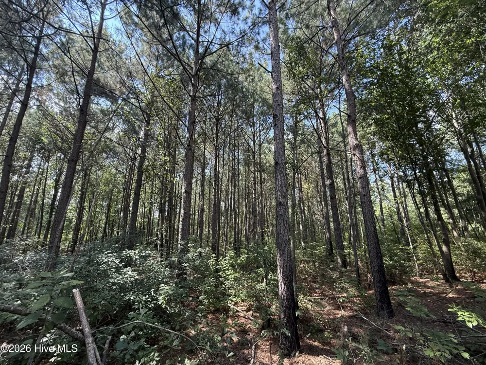 2740 Nc 71 Highway Maxton, NC 28364