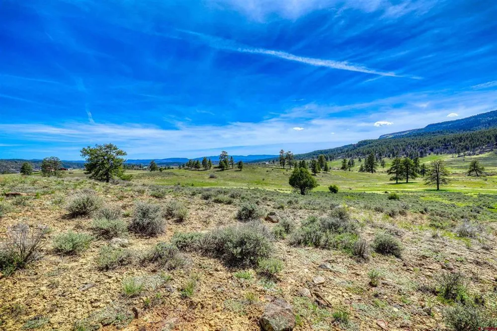 County Rd 359 Pagosa Springs, CO 81147