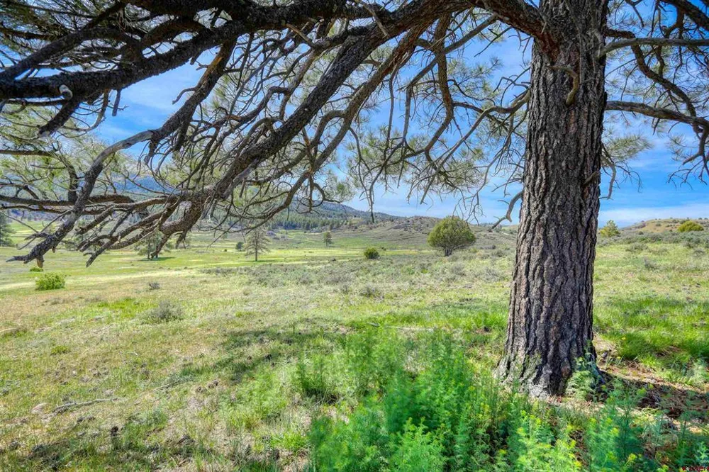 County Rd 359 Pagosa Springs, CO 81147