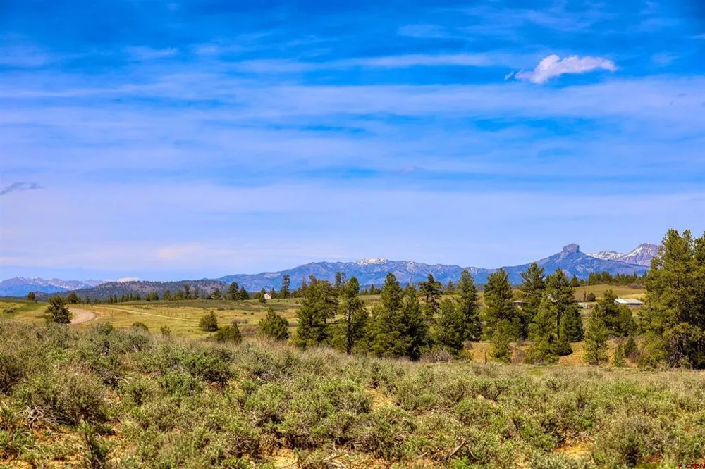 County Rd 359 Pagosa Springs, CO 81147