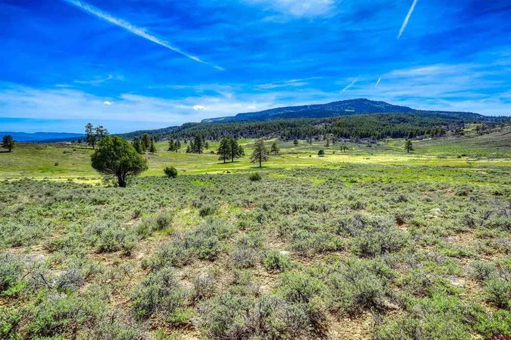 County Rd 359 Pagosa Springs, CO 81147