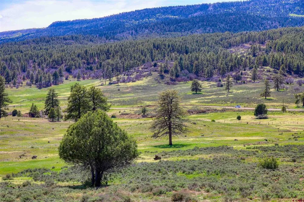 County Rd 359 Pagosa Springs, CO 81147