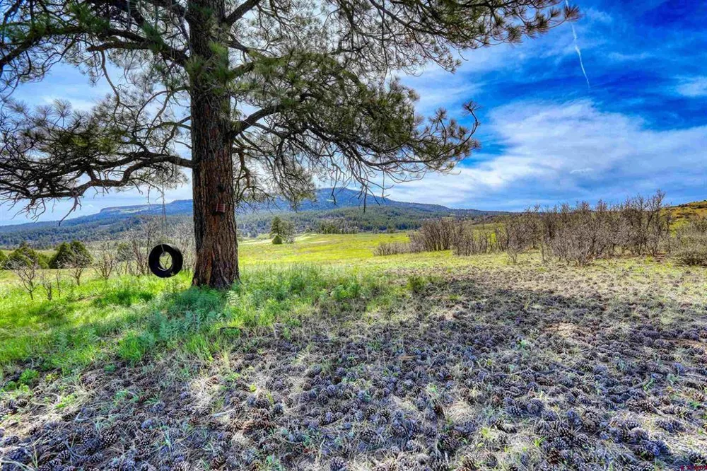 County Rd 359 Pagosa Springs, CO 81147