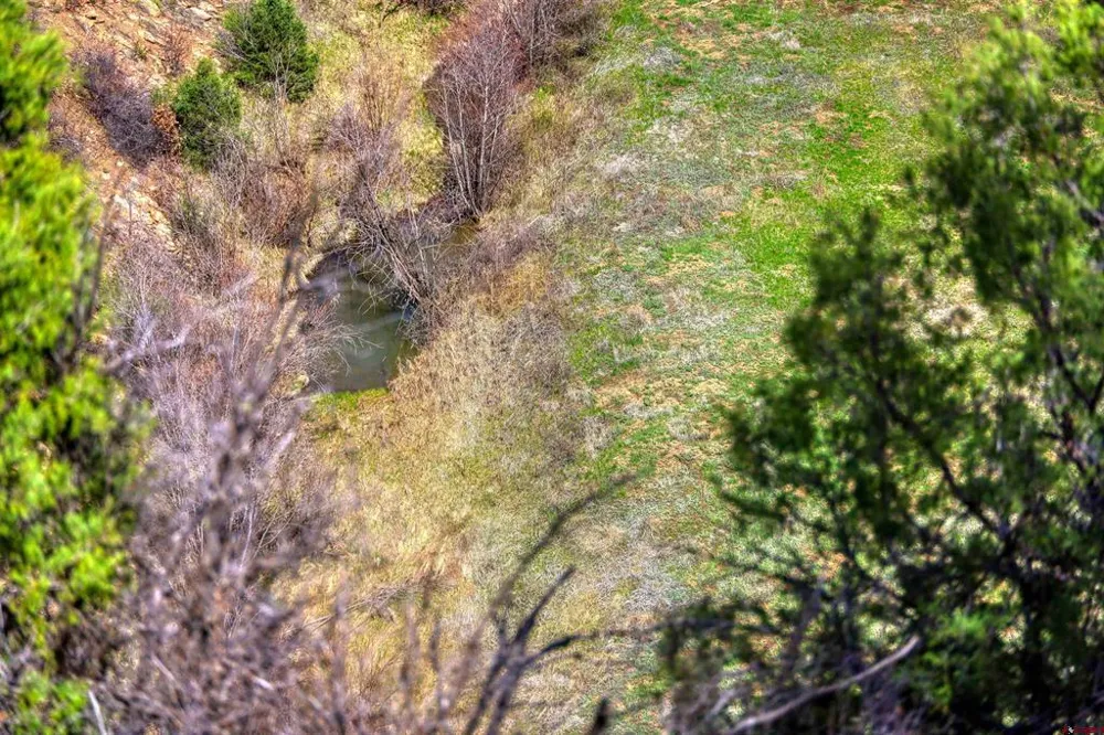 County Rd 359 Pagosa Springs, CO 81147