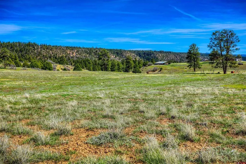County Rd 359 Pagosa Springs, CO 81147