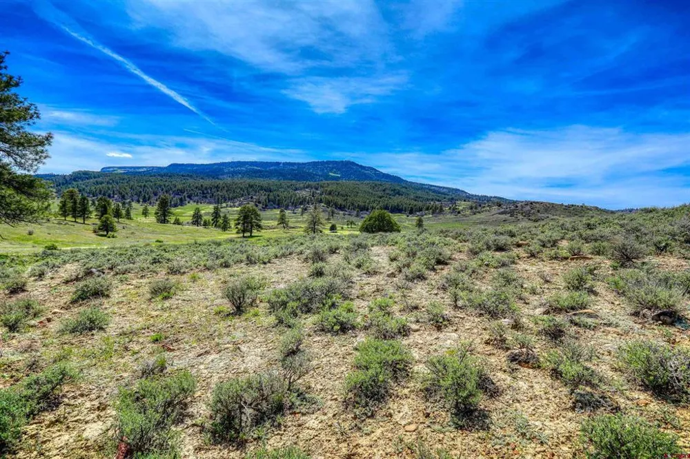 County Rd 359 Pagosa Springs, CO 81147