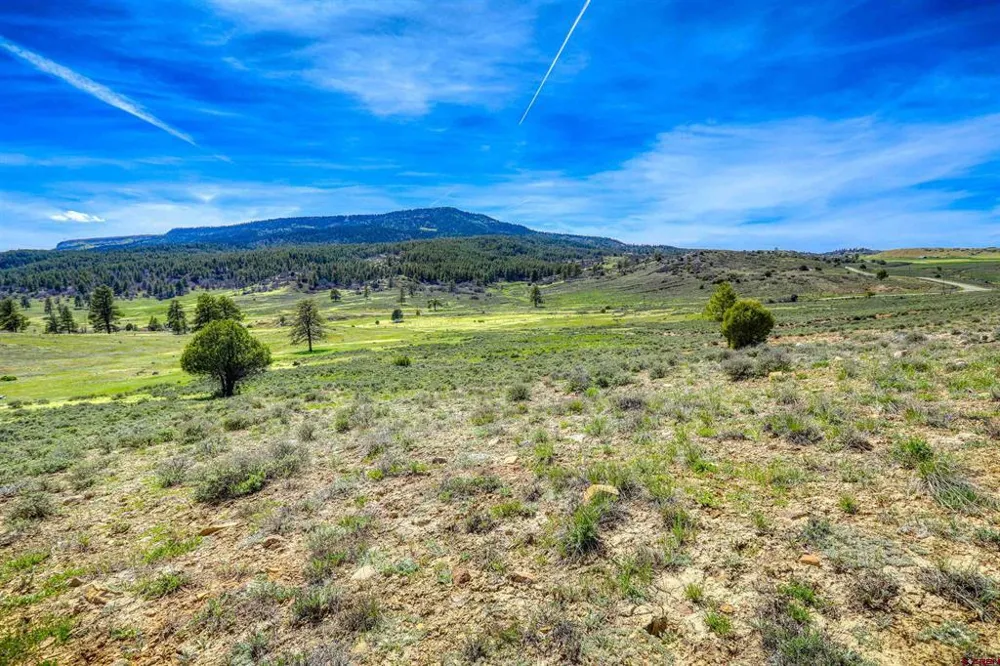 County Rd 359 Pagosa Springs, CO 81147