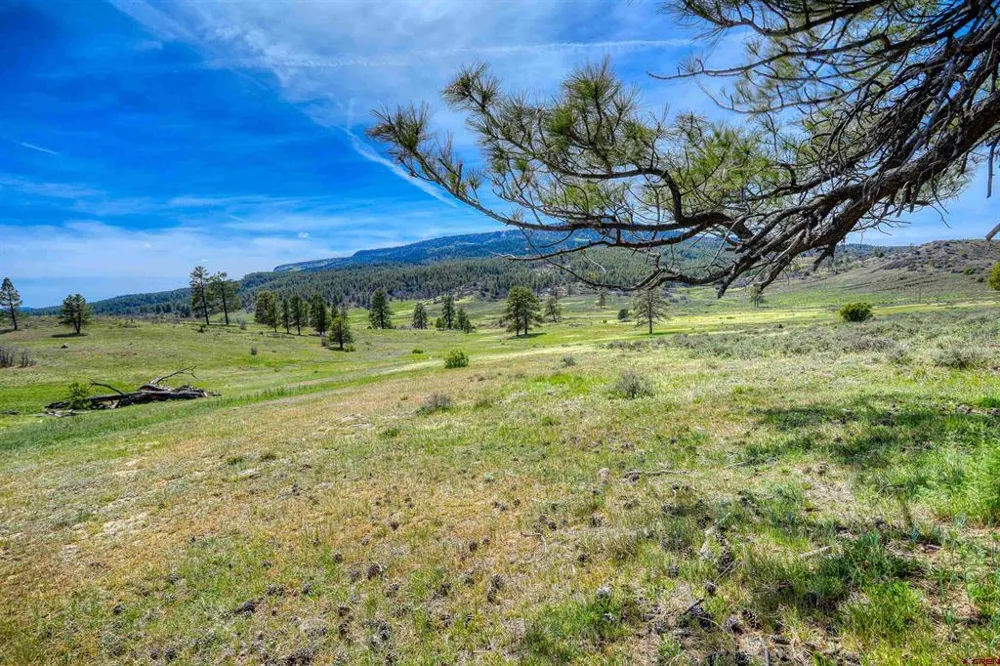 County Rd 359 Pagosa Springs, CO 81147