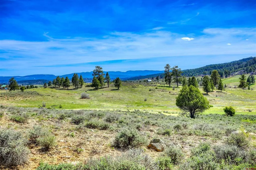 County Rd 359 Pagosa Springs, CO 81147