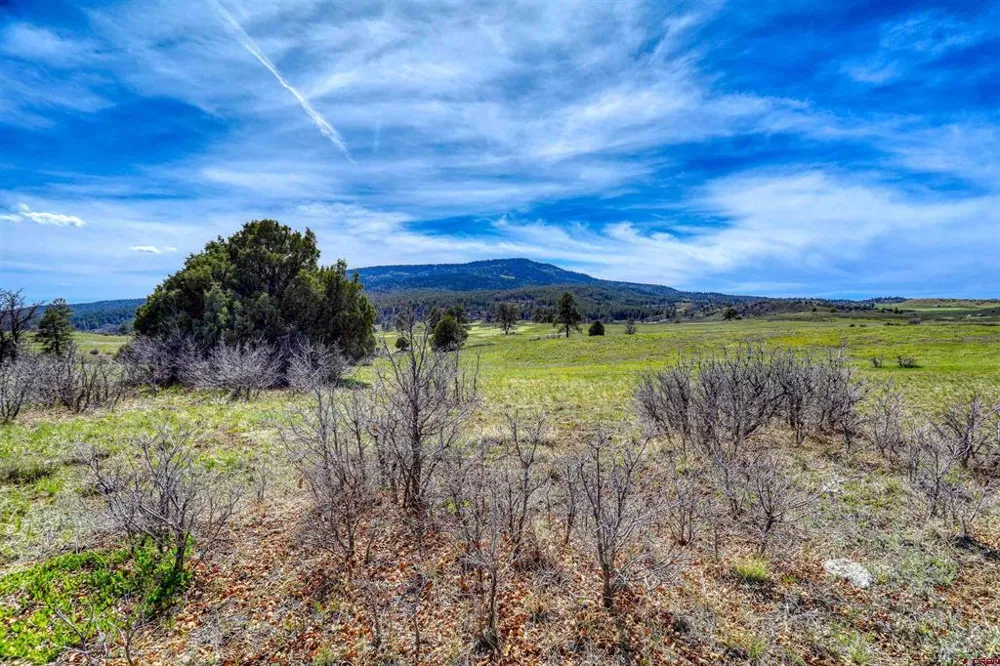 County Rd 359 Pagosa Springs, CO 81147