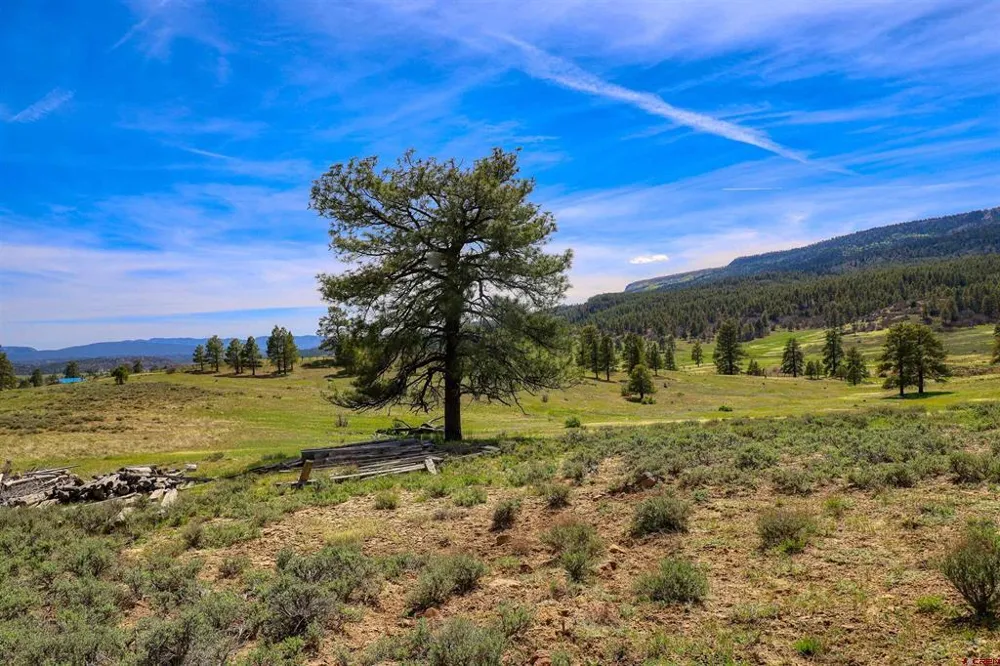 County Rd 359 Pagosa Springs, CO 81147
