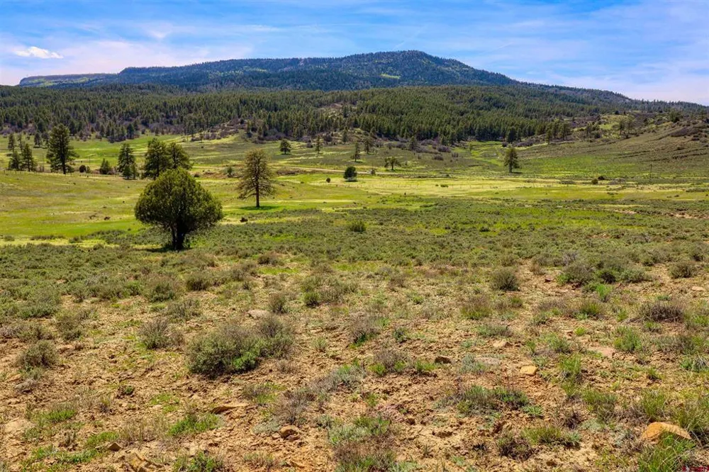 County Rd 359 Pagosa Springs, CO 81147