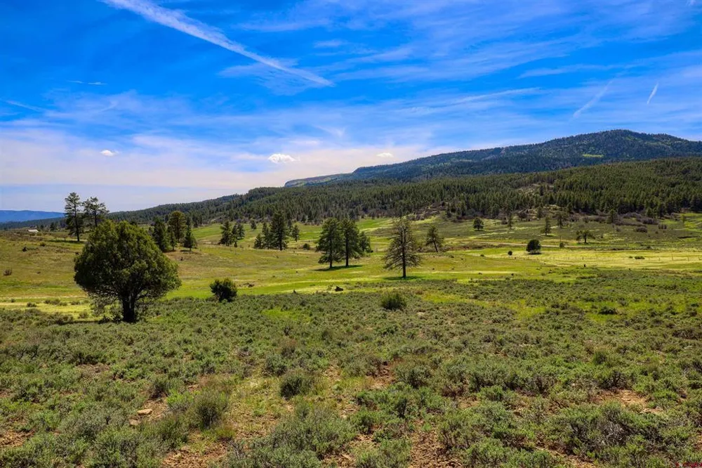 County Rd 359 Pagosa Springs, CO 81147