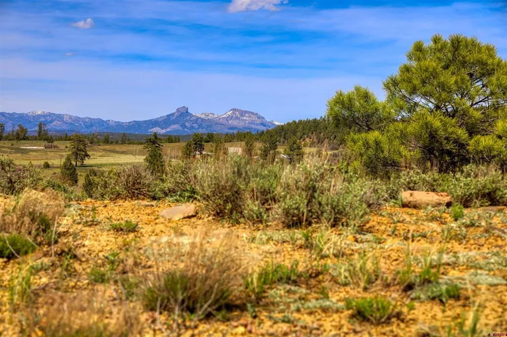 County Rd 359 Pagosa Springs, CO 81147