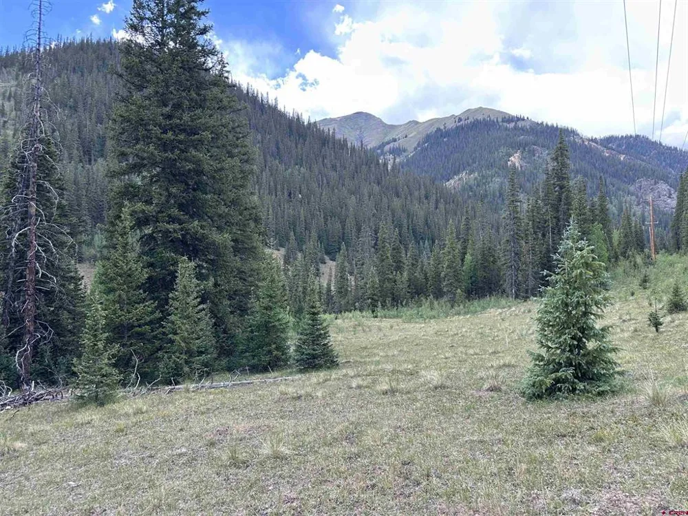 10 Overland Estates, CR 110 Silverton, CO 81433