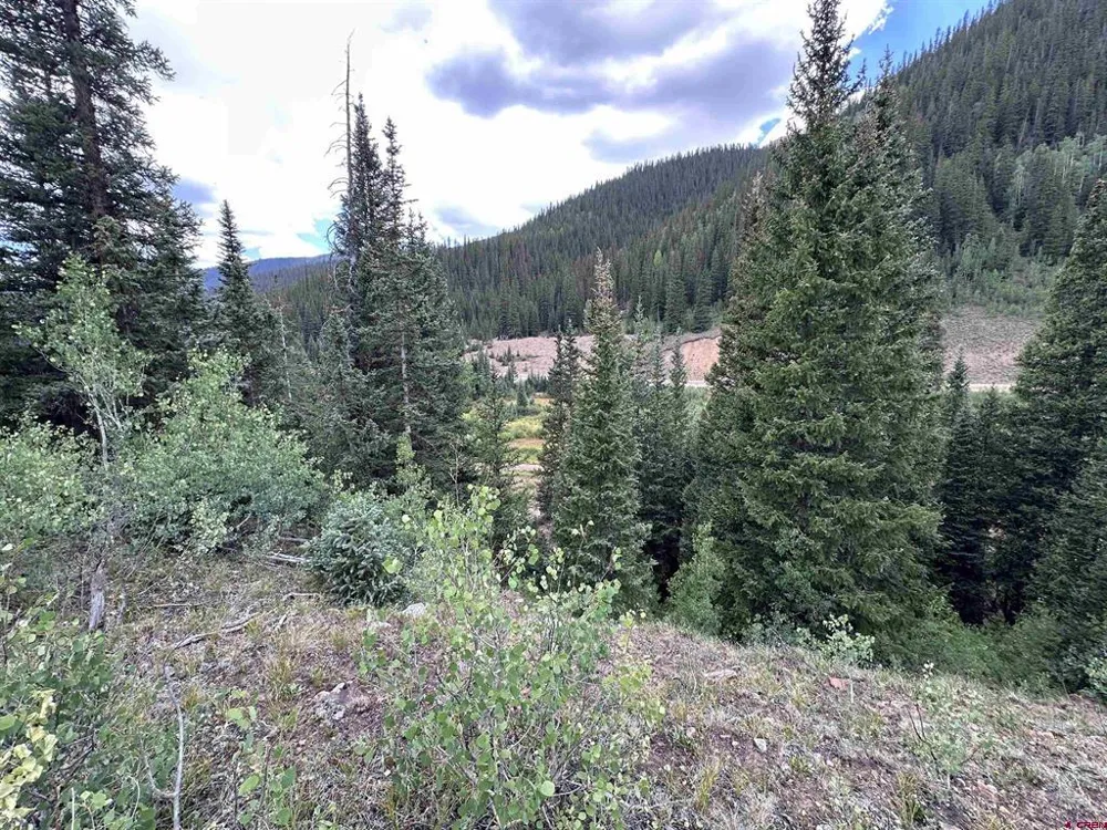10 Overland Estates, CR 110 Silverton, CO 81433
