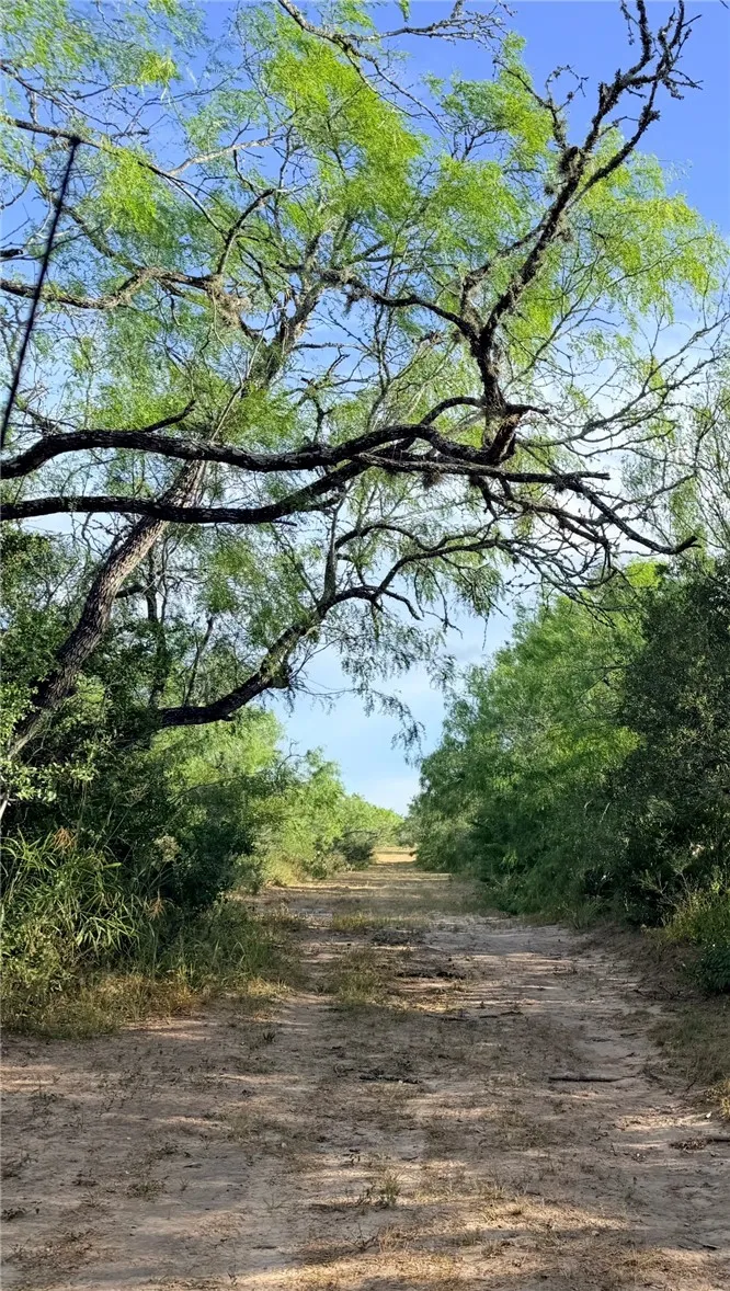 3463 County Road 332 San Diego, TX 78384