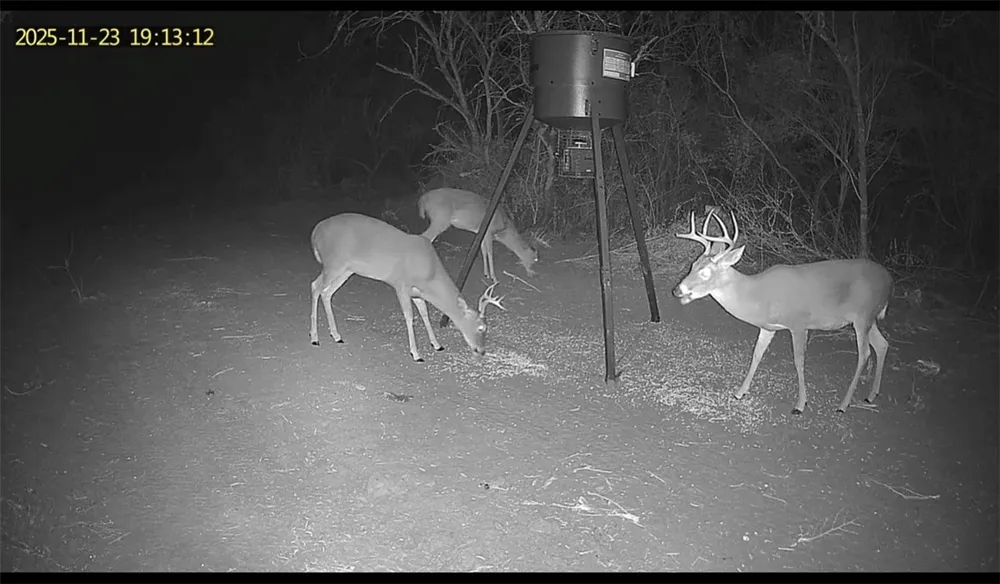 3463 County Road 332 San Diego, TX 78384