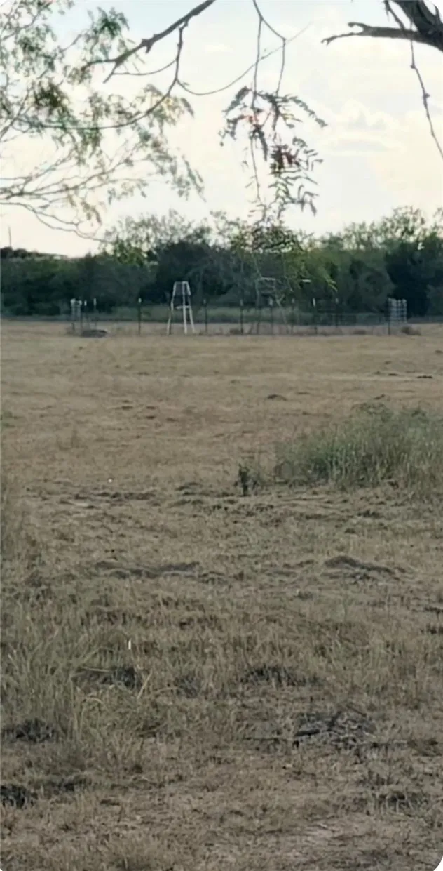 3463 County Road 332 San Diego, TX 78384